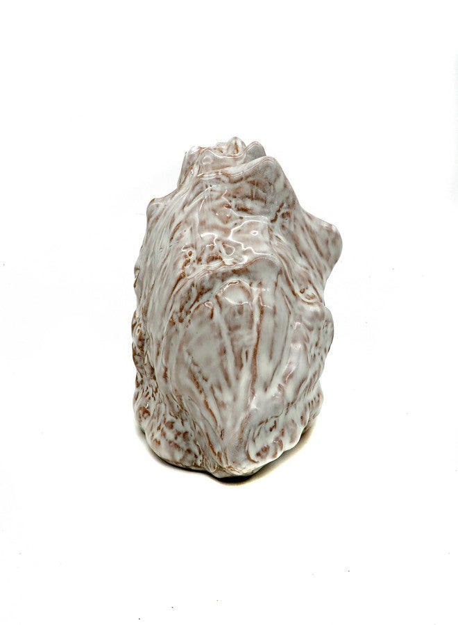 ALEGI Aquarium Decorations Cave Ceramic Sea Shell Decor, Rock Cave Decor for Shrimp Cichlid Hiding Fish Tank (Sea Shell A) - Image 4